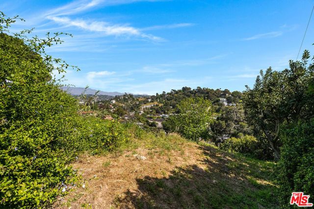 2231 Moore Street, Los Angeles, CA 90039