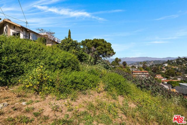 2231 Moore Street, Los Angeles, CA 90039