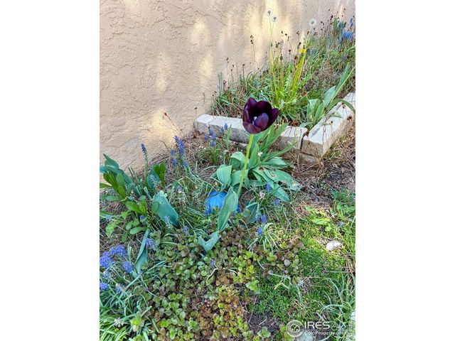 2734 Northbrook Pl, Boulder, CO 80304