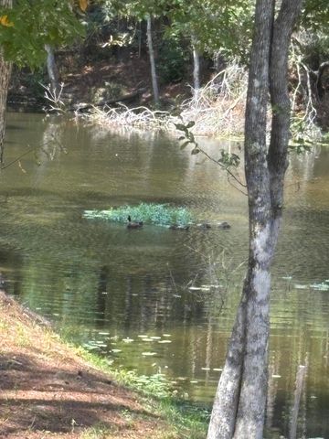 481 Vernon Park Road, Leesville, LA 71446