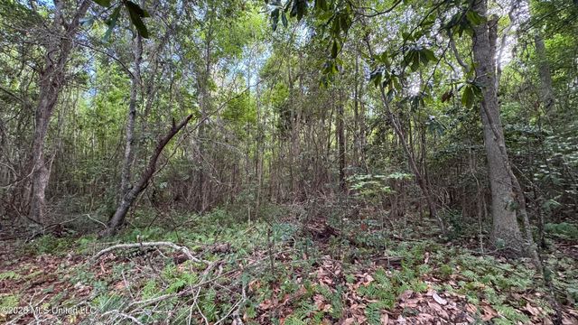 Oyster Shell Avenue, Ocean Springs, MS 39564