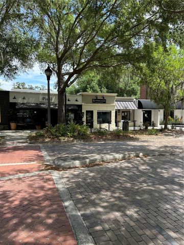 1002 OAKDALE STREET, Windermere, FL 34786