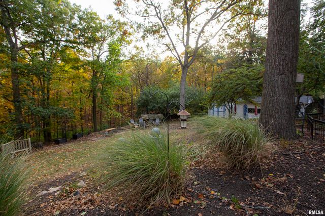 1320 W CEDAR HILLS Drive, Dunlap, IL 61525