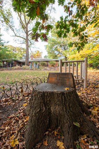 1320 W CEDAR HILLS Drive, Dunlap, IL 61525