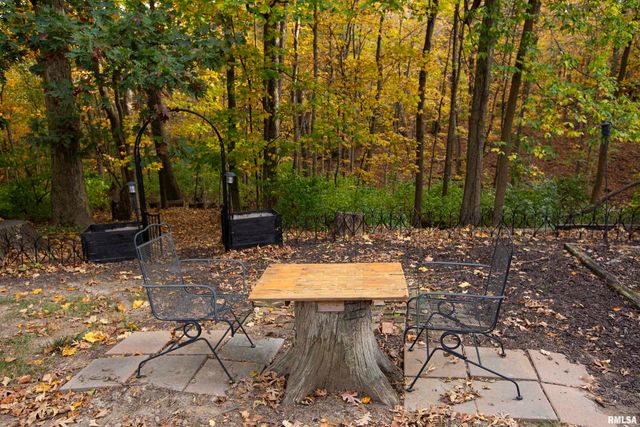 1320 W CEDAR HILLS Drive, Dunlap, IL 61525