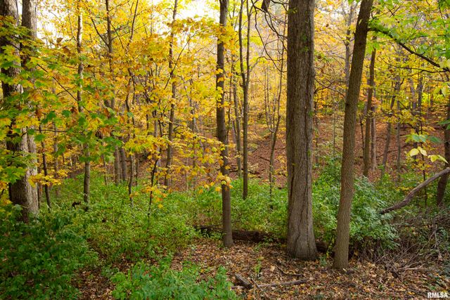 1320 W CEDAR HILLS Drive, Dunlap, IL 61525