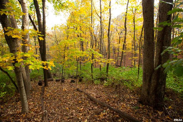 1320 W CEDAR HILLS Drive, Dunlap, IL 61525