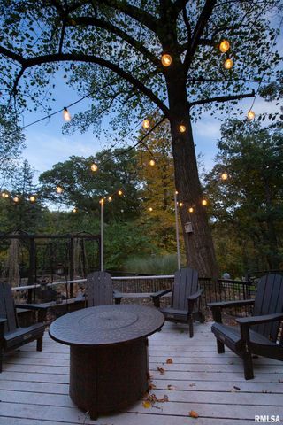 1320 W CEDAR HILLS Drive, Dunlap, IL 61525