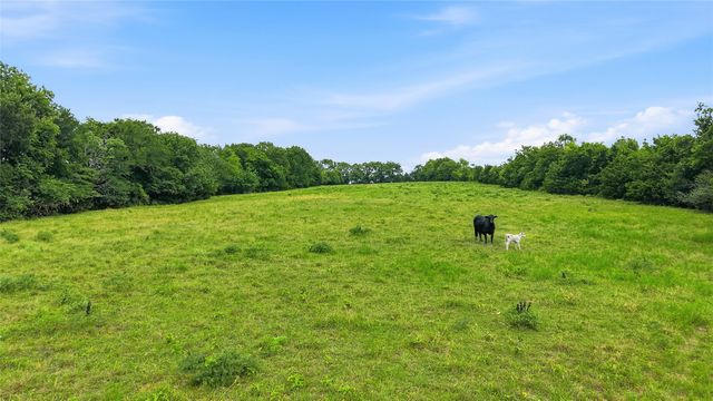 1108 S FM 2077, Dodd City, TX 75438
