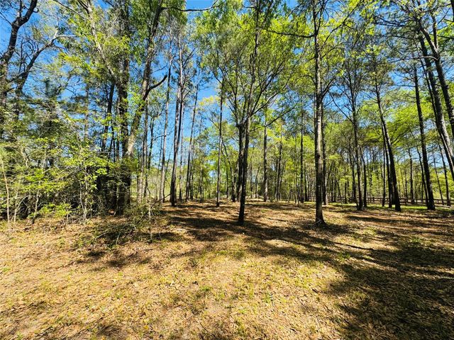 00 Creekbend Drive, Plantersville, TX 77363