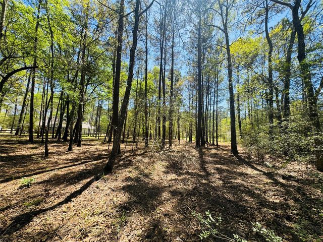 00 Creekbend Drive, Plantersville, TX 77363