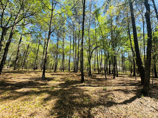 00 Creekbend Drive, Plantersville, TX 77363