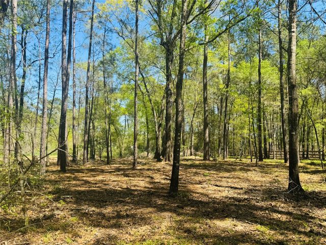00 Creekbend Drive, Plantersville, TX 77363
