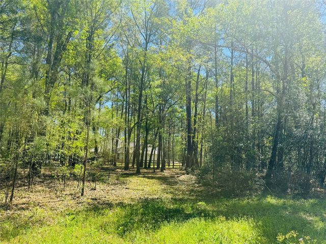 00 Creekbend Drive, Plantersville, TX 77363