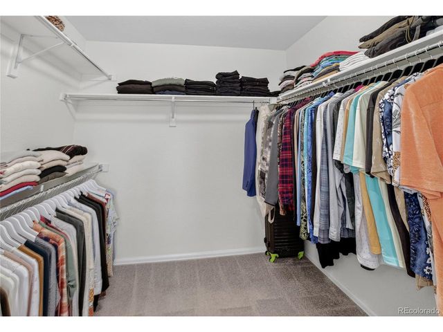 1305 Black Haw St, Elizabeth, CO 80107