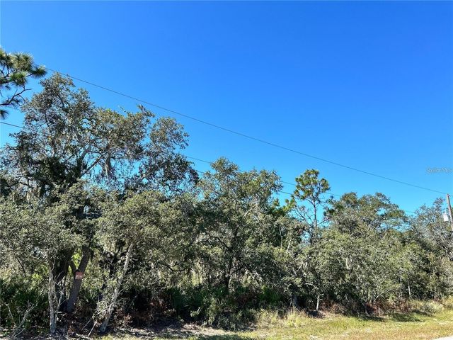 WOODSTORK WAY, Frostproof, FL 33843