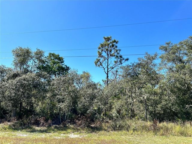 WOODSTORK WAY, Frostproof, FL 33843