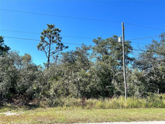 WOODSTORK WAY, Frostproof, FL 33843