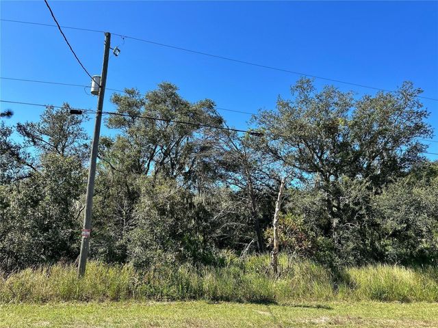 WOODSTORK WAY, Frostproof, FL 33843