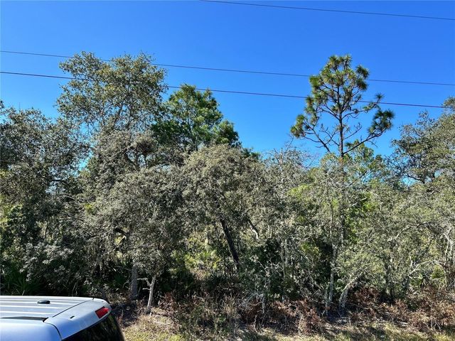 WOODSTORK WAY, Frostproof, FL 33843