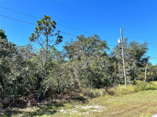 WOODSTORK WAY, Frostproof, FL 33843