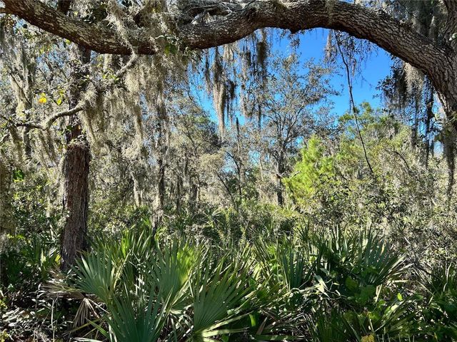 WOODSTORK WAY, Frostproof, FL 33843