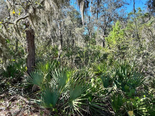 WOODSTORK WAY, Frostproof, FL 33843