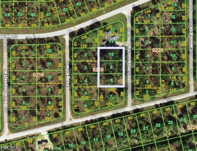 13263 Pine Run TER, Punta Gorda, FL 33955