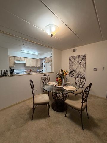 10002 S Pulaski Road 207, Oak Lawn, IL 60453