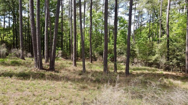 00 Belladonna Drive, Onalaska, TX 77360
