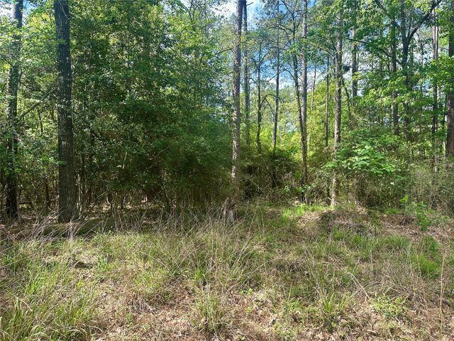 00 Belladonna Drive, Onalaska, TX 77360