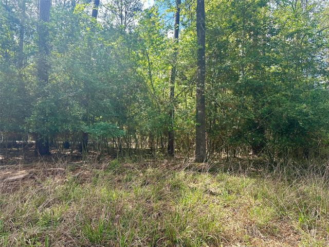 00 Belladonna Drive, Onalaska, TX 77360