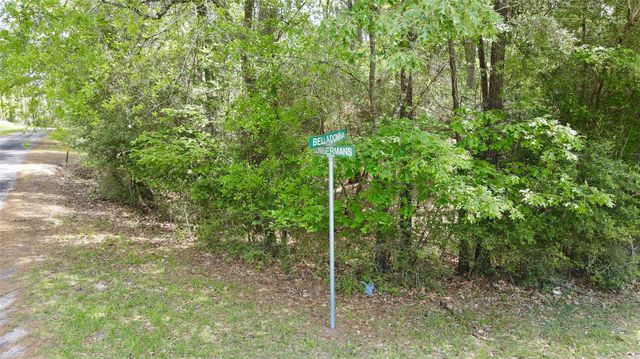 00 Belladonna Drive, Onalaska, TX 77360