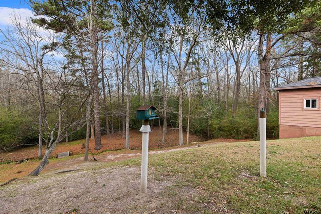 450 SH 43, Tatum, TX 75691