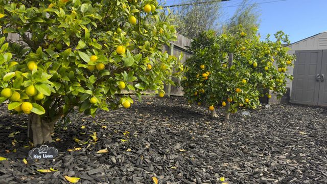 2081 Shoreview Avenue, San Mateo, CA 94401