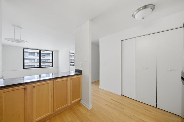 222 E PEARSON Street 1007, Chicago, IL 60611