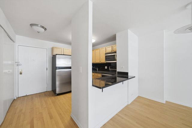 222 E PEARSON Street 1007, Chicago, IL 60611