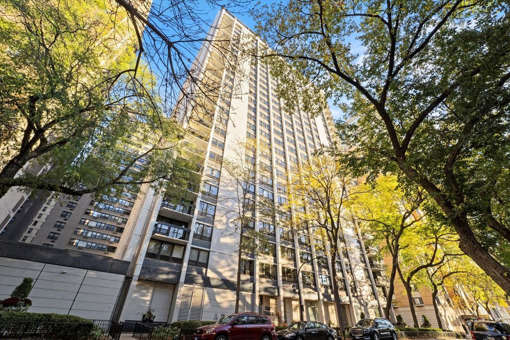 222 E PEARSON Street 1007, Chicago, IL 60611