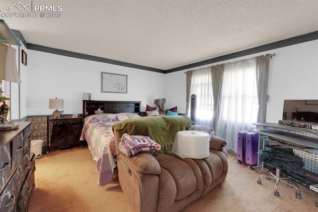 1892 Brookdale Drive, Colorado Springs, CO 80918