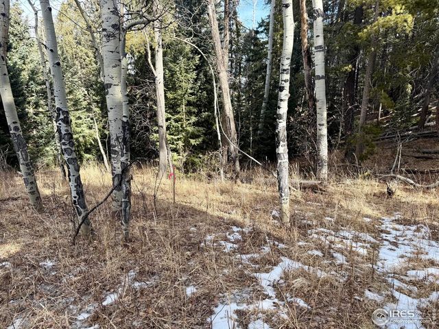 0 Snowy Trl, Conifer, CO 80433