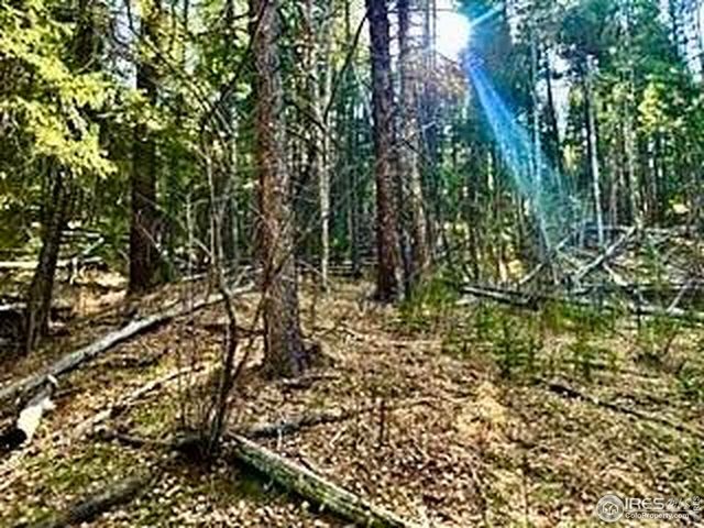 0 Snowy Trl, Conifer, CO 80433