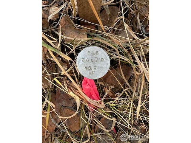 0 Snowy Trl, Conifer, CO 80433