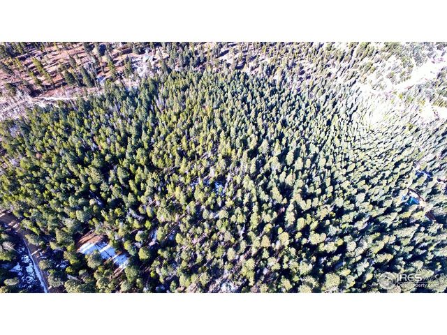 0 Snowy Trl, Conifer, CO 80433