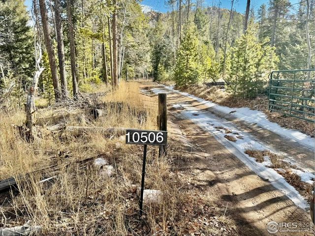 0 Snowy Trl, Conifer, CO 80433