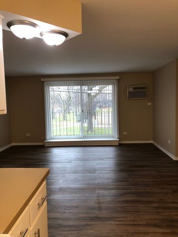 6324 W 63rd Street 4, Chicago, IL 60638