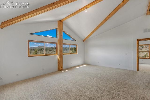 392 Brooks Lane, Woodland Park, CO 80863