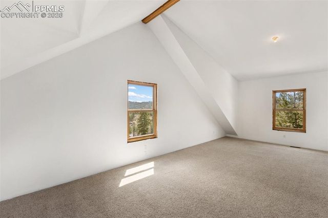 392 Brooks Lane, Woodland Park, CO 80863