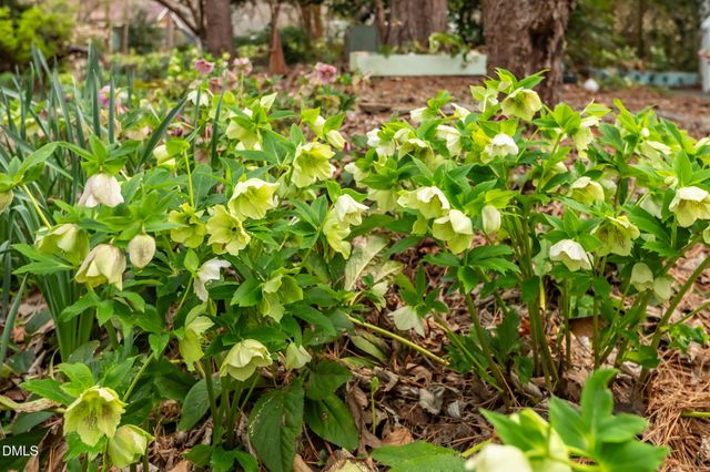 407 Waterside Drive, Carrboro, NC 27510