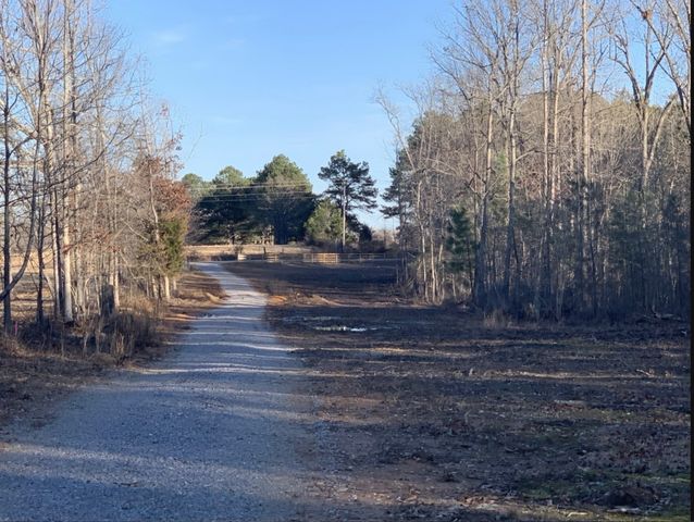 4 Summertown Hwy, Summertown, TN 38483