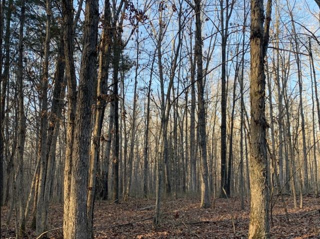 4 Summertown Hwy, Summertown, TN 38483